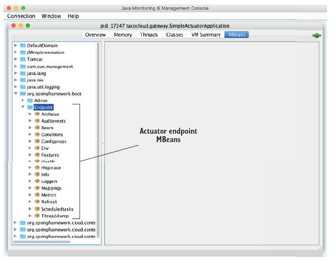 图18.1 Actuator 端点自动显示为 JMX MBean。